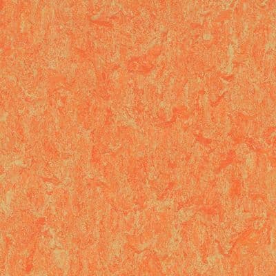 LINOLEUM Linoflex 538