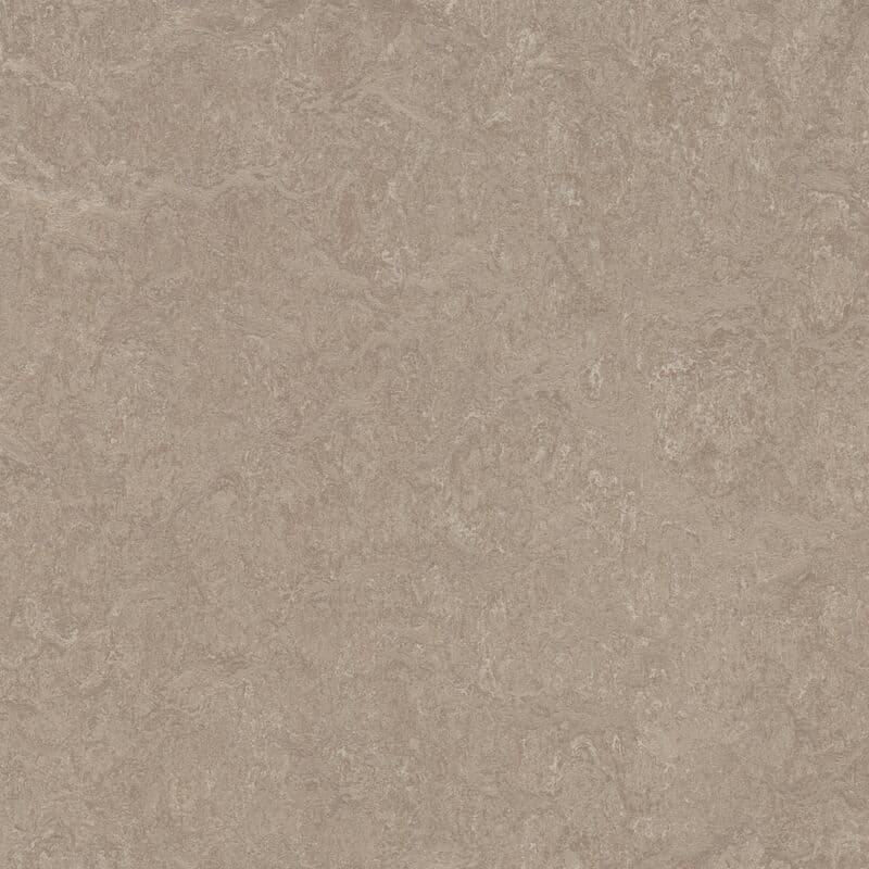 LINOLEUM Marmoleum Decibel sparrow 325235