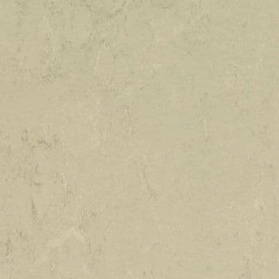 LINOLEUM Marmoleum Solid Concrete titan 3761
