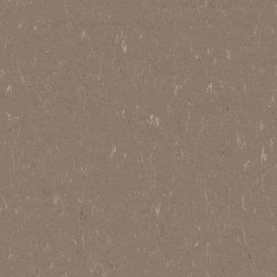 LINOLEUM Marmoleum Solid Piano otter 3631