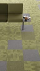 PLAATVAIP Essence Maze AA93 7071 thumbnail 3
