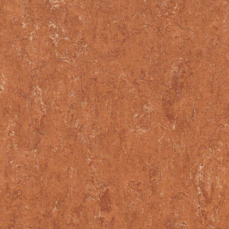 LINOLEUM Linoflex 104
