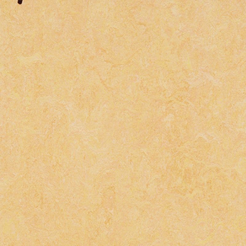LINOLEUM Marmoleum Decibel natural corn 384635