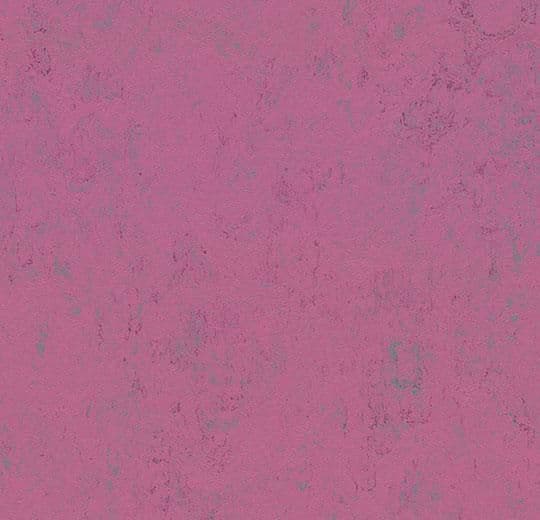 LINOLEUM Marmoleum Solid Concrete purple glow 3740